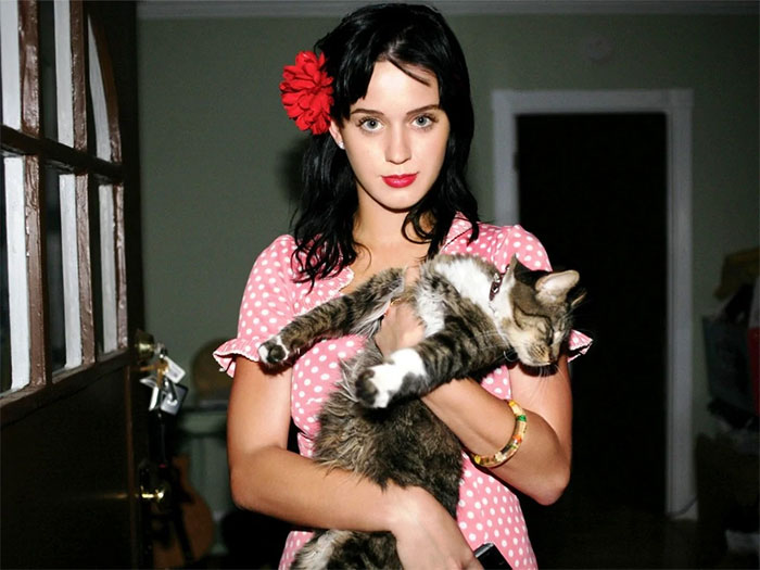 celebrity facts - Katy Perry's Cat Was Named Kitty Purry