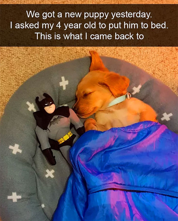 A 4-year old giving his dog the tuck-in he can approve of. 