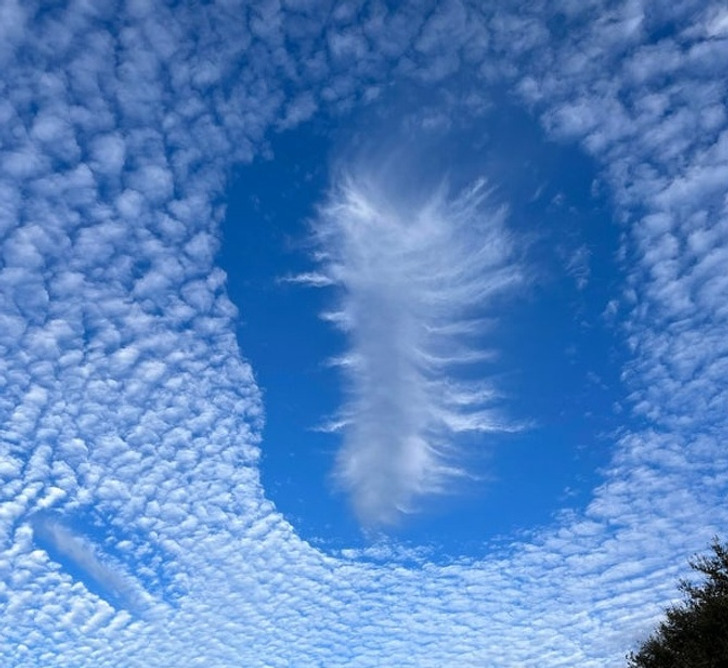 “In 32 years, it’s my first time seeing a cloud like this.”