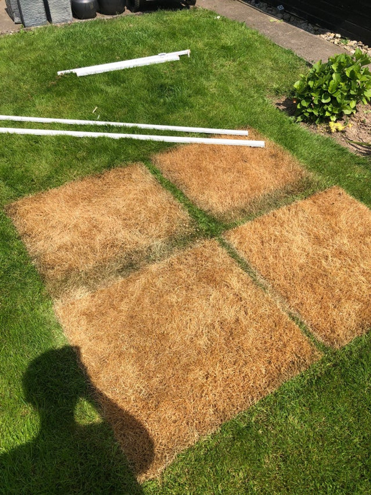“I guess you shouldn’t put glass windows over grass when it’s 22°C.”