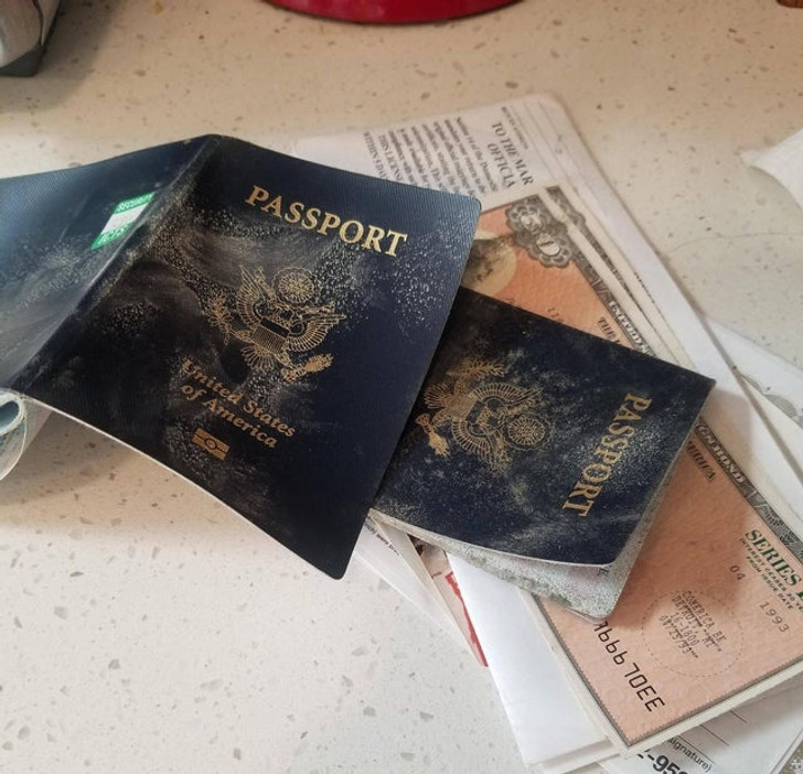 “Opened our lockbox today to find mold had been happily eating our passports and marriage certificate.”