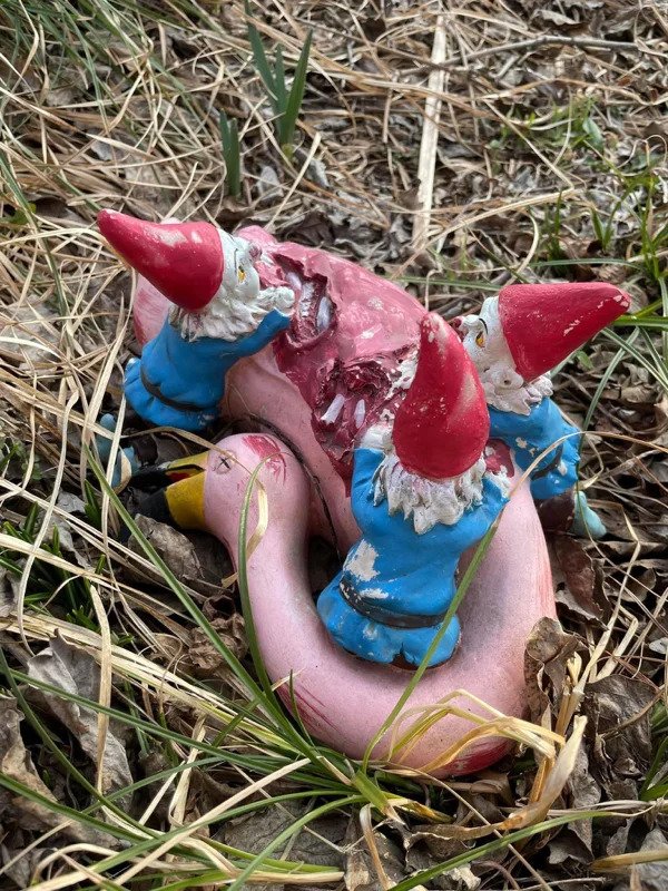 nope and cringe pics - garden gnome