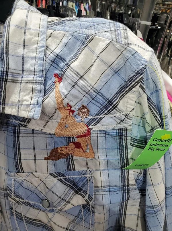 I'm not sure what is worse, the picture on the shirt or that its being sold at goodwill.