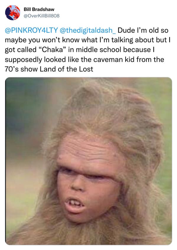 savage insults - head - Bill Bradshaw I'm old so maybe you won't know what I'm talking about but I got called "Chaka in middle school because I supposedly looked the caveman kid from the 70's show Land of the Lost