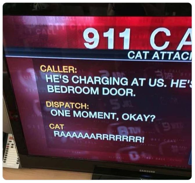 funny and wtf news headlines - display device - Cal 911 Ca Cat Attaci Caller He'S Charging At Us. He' Bedroom Door. Dispatch One Moment, Okay? Cat Raaaaaarrrrrrr! Samsung
