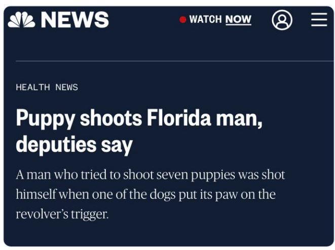 funny and wtf news headlines - multimedia - Il News Watch Now Iii Health News Puppy shoots Florida man, deputies say A man who tried to shoot seven puppies was shot himself when one of the dogs put its paw on the revolver's trigger