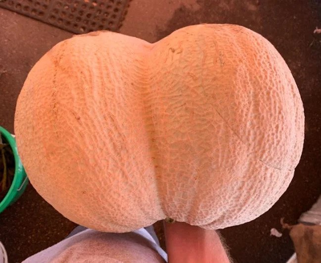 “I found conjoined twin cantaloupes at the farmers market.”