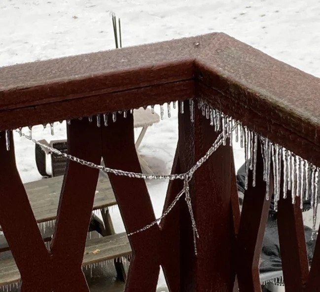 “When a spider web freezes and looks like an ornament of lights”