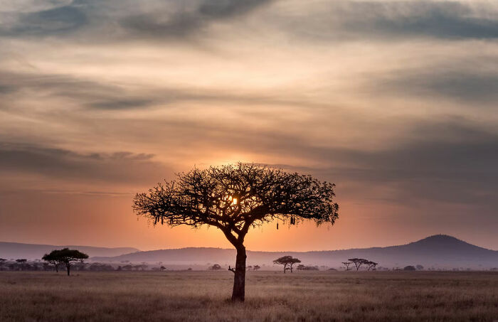 South Africa had a inter-tribal genocide between 1815 and 1840 resulting in the death of between 1 - 2 million people.

The genocide, called the Mfecane, or the crushing in Zulu, was perpitrated by Shaka Zulu, and the Zulus, as he was establishing his kingdom. This lead to the depopulation of the interior which created room for the white boer settlers (voortrekkers) to move in and settle the area from 1836, basically uncontested in unclaimed territories.