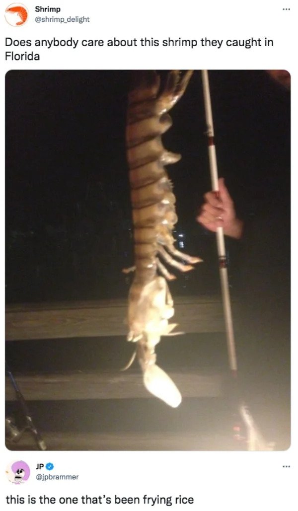funny comments - savage replies - 18 inch giant shrimp - .. Shrimp delight Does anybody care about this shrimp they caught in Florida Jp this is the one that's been frying rice