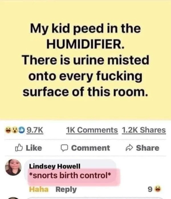 funny comments - savage replies - paper - My kid peed in the Humidifier. There is urine misted onto every fucking surface of this room. 1K Comment Lindsey Howell snorts birth control Haha 9