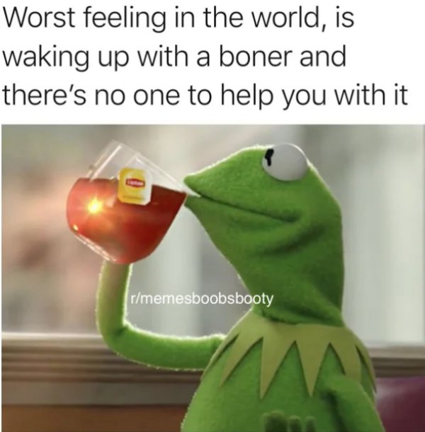 dirty memes - kermit the frog - Worst feeling in the world, is waking up with a boner and there's no one to help you with it rmemesboobsbooty Va