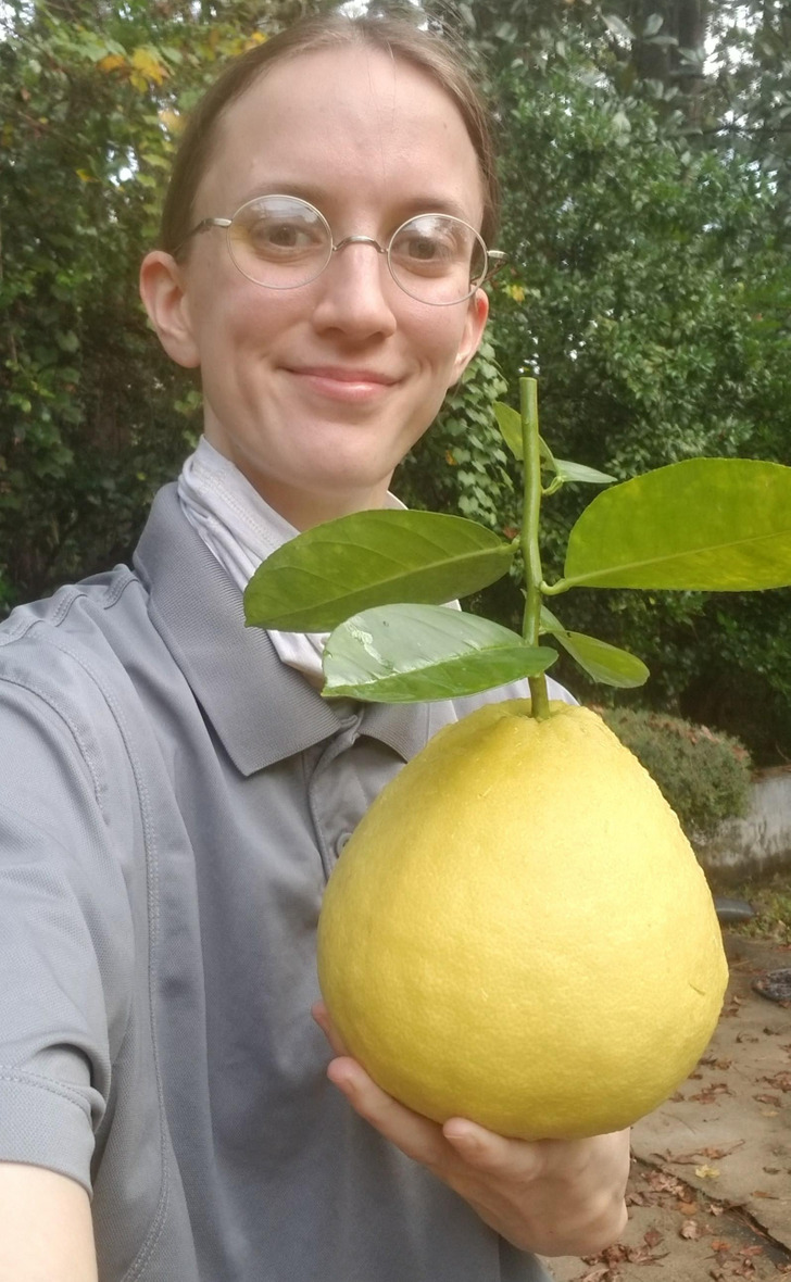absolute units - giant things - citron