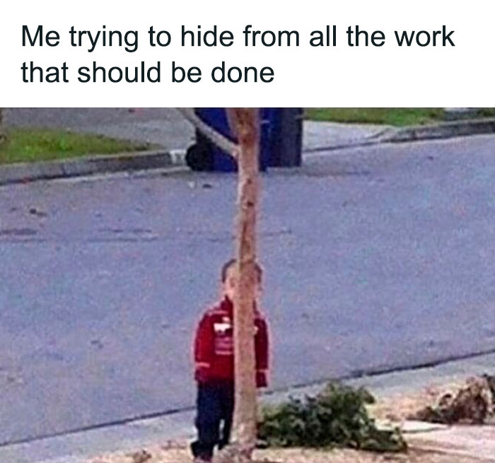 work memes - stay away from drama but close enough - Me trying to hide from all the work that should be done