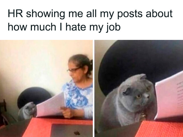 work memes - teacher then why did you write - Hr showing me all my posts about how much I hate my job