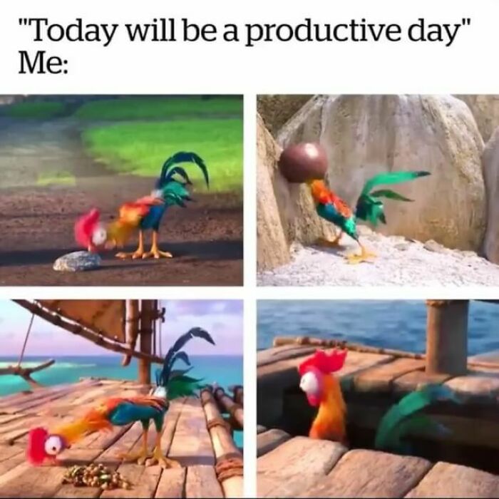 work memes - moana chicken meme - "Today will be a productive day" Me