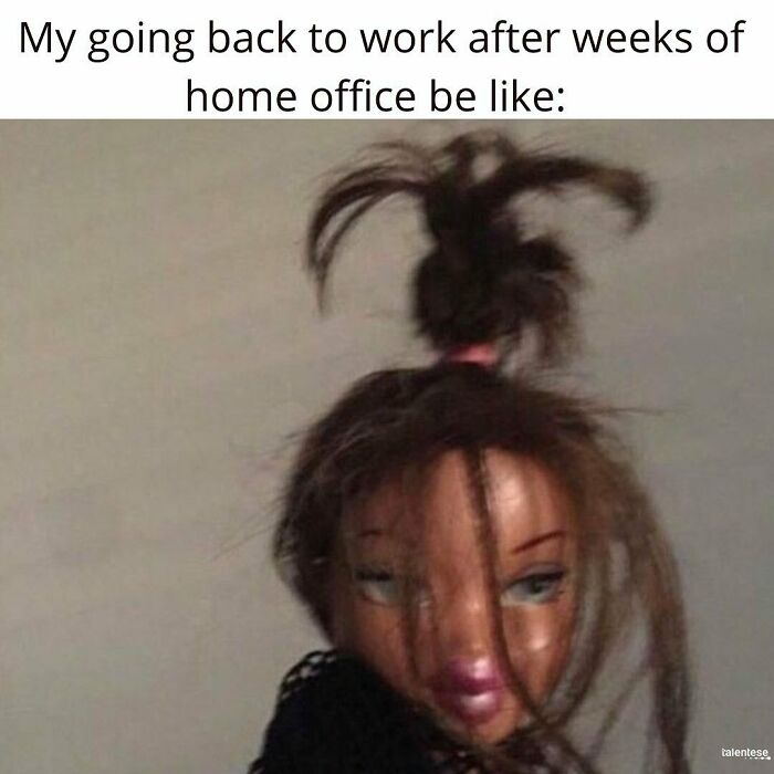 work memes - crackhead aesthetic - My going back to work after weeks of home office be talentese