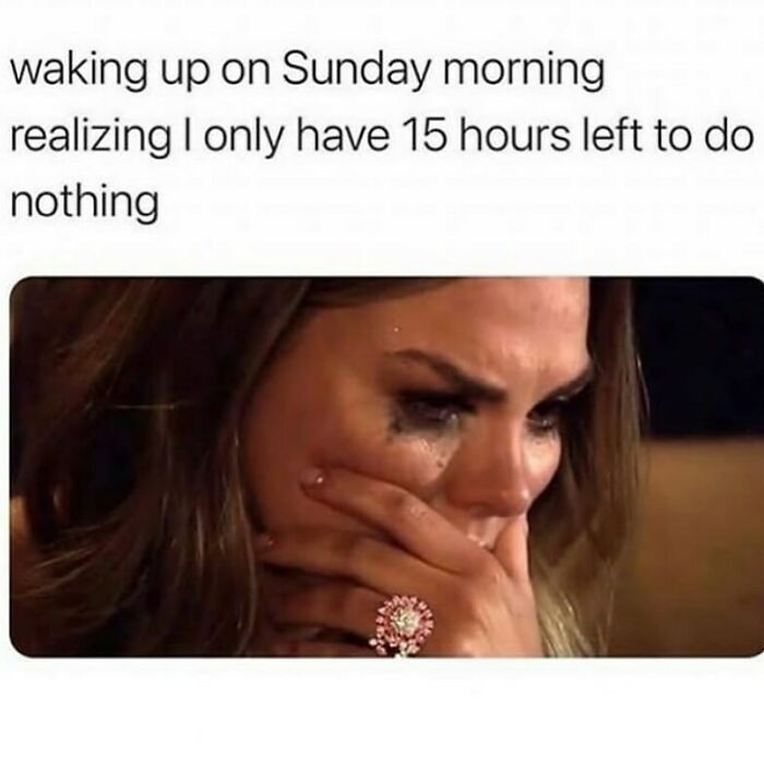 work memes - bachelor crying - waking up on Sunday morning realizing I only have to do nothing