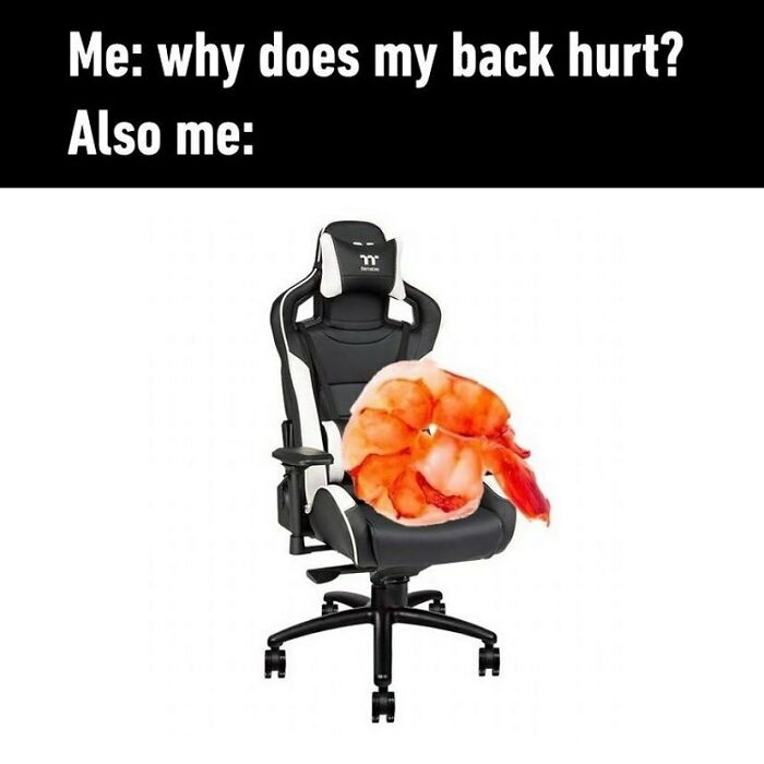 work memes - prawn on chair - Me why does my back hurt? Also me