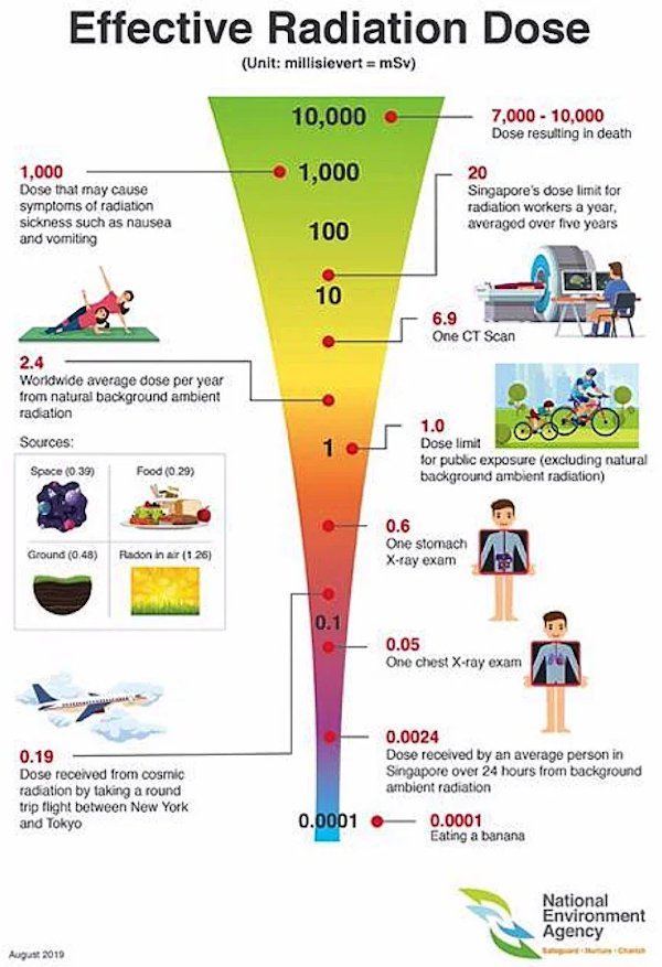 24 Charts Filled With Random Knowledge.