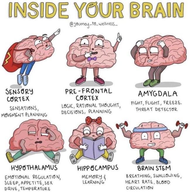 24 Charts Filled With Random Knowledge.