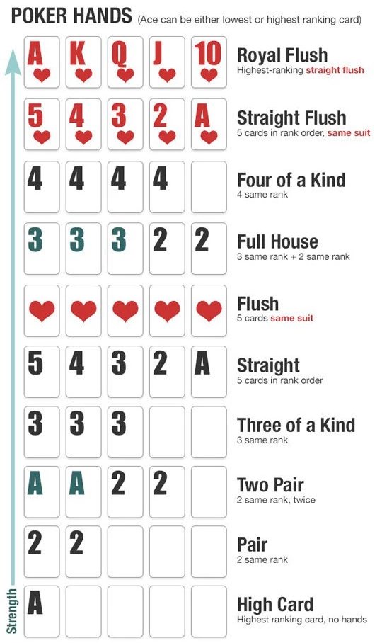 24 Charts Filled With Random Knowledge.