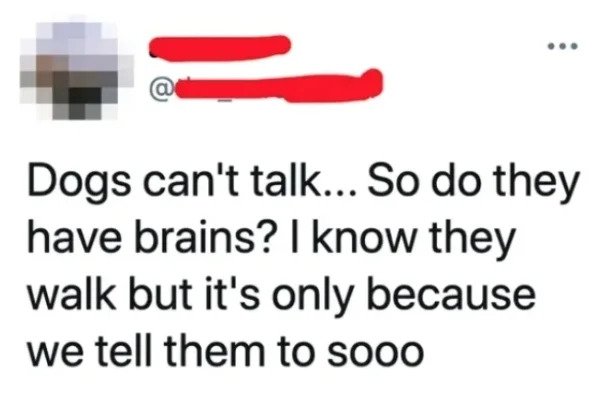 very dumb people - diagram - Dogs can't talk... So do they have brains? I know they walk but it's only because we tell them to sooo