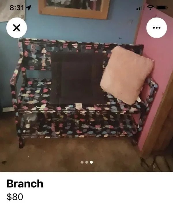 very dumb people - couch - 1 ... Branch $80