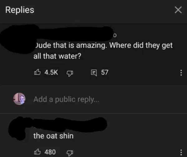 very dumb people - screenshot - Replies 0 Dude that is amazing. Where did they get all that water? ? B E 57 Add a public ... the oat shin 3 480