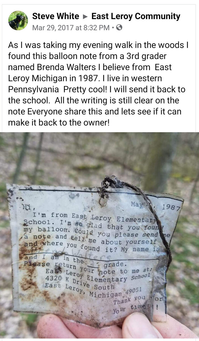 lost and found - found treasures - tree - Steve White East Leroy Community at As I was taking my evening walk in the woods I found this balloon note from a 3rd grader named Brenda Walters I believe from East Leroy Michigan in 1987. I live in western Penns