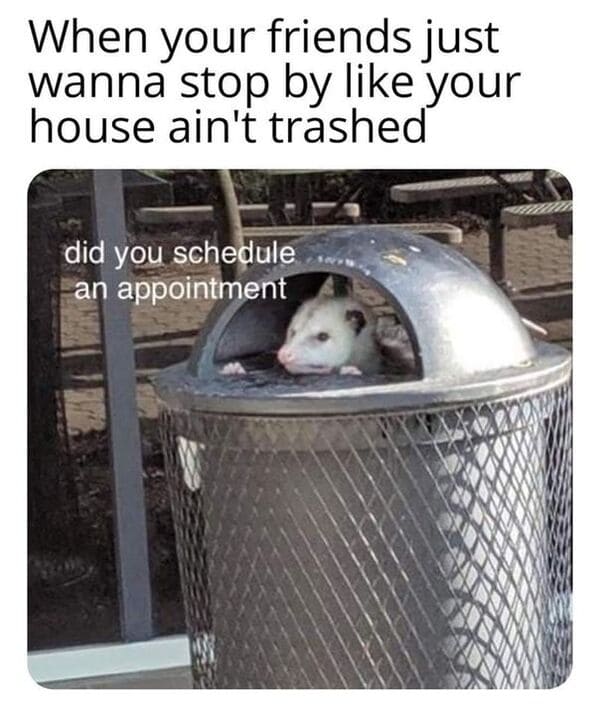 funny comments - did you schedule an appointment meme - When your friends just wanna stop by your house ain't trashed did you schedule an appointment