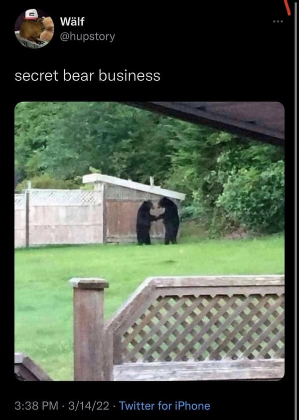 funny comments - know a drug deal when i see one - U Wlf secret bear business . 31422 Twitter for iPhone