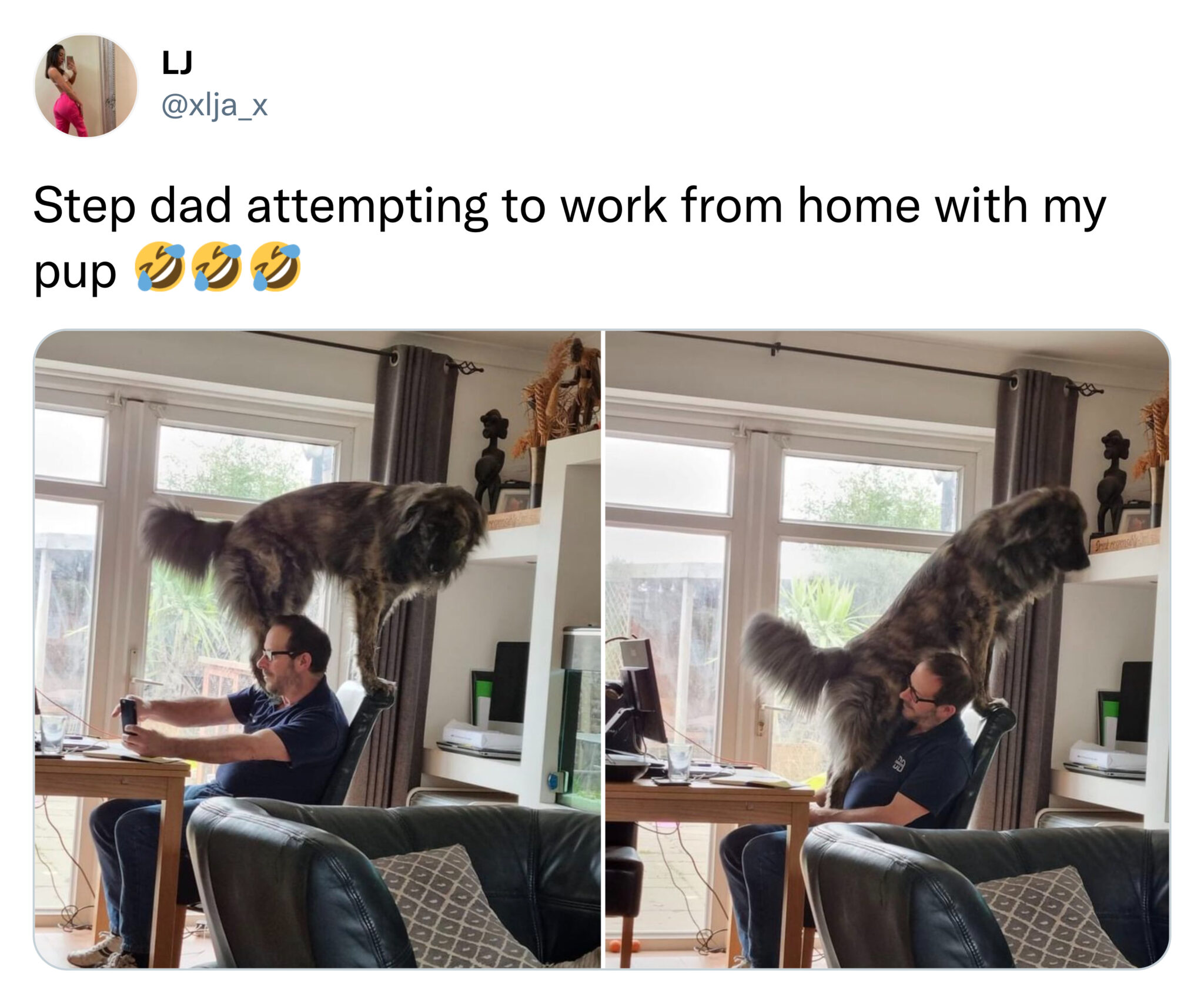 Funny Tweets - Step dad attempting to work from home with my pup