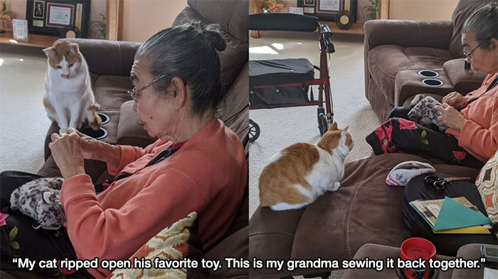 feel good photos - grandma with a cat - a "My cat ripped open his favorite toy. This is my grandma sewing it back together."
