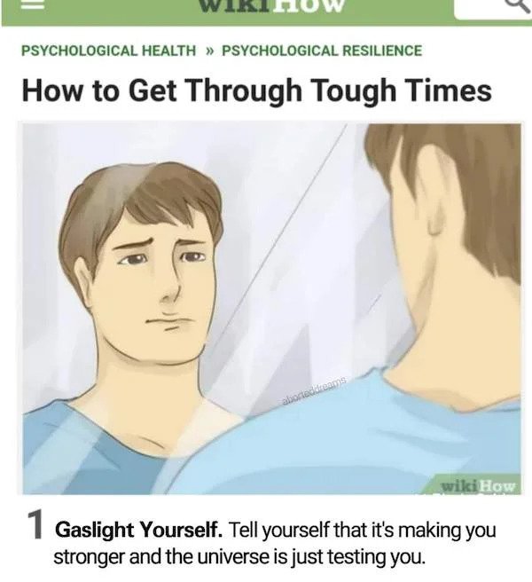 relatable memes -wendy wu tours - 1 Psychological Health Psychological Resilience How to Get Through Tough Times abortedams wikiHow 1 Gaslight Yourself. Tell yourself that it's making you stronger and the universe is just testing you.