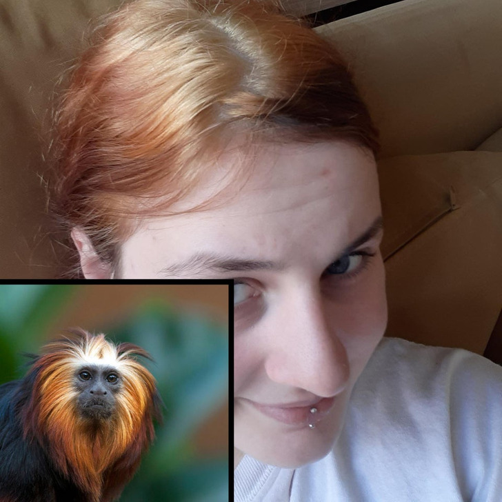 “I tried dying my hair. My boyfriend said I reminded him of a certain animal.”