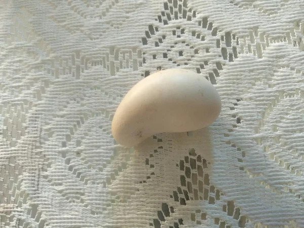 “This weird egg my chicken laid.”