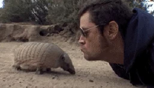 I thought an armadillo was a reptile rather than a mammal.