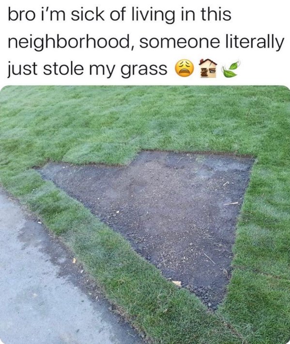 dad memes - stole my grass - bro i'm sick of living in this neighborhood, someone literally just stole my grass