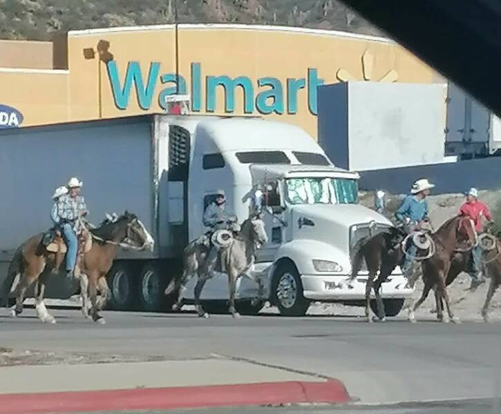 People of Walmart - Horses
