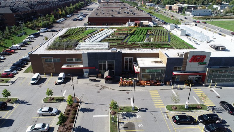 fascinating photos - Supermarket made a garden on their roof and is distributing the goods directly in store!