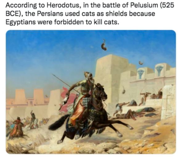 28 Weird Facts From History You Didn't Know.