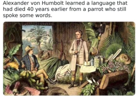 28 Weird Facts From History You Didn't Know.