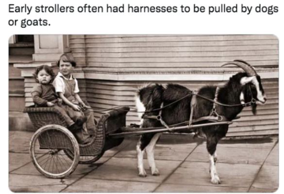 28 Weird Facts From History You Didn't Know.