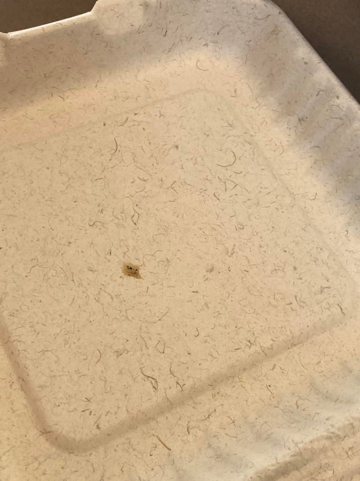 “This disposable meal container looks like it’s covered in hairs.”