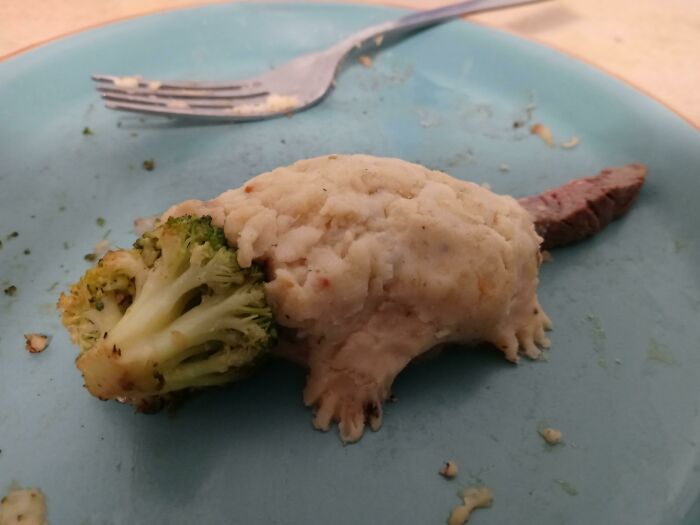 food fails -broccoli opossum