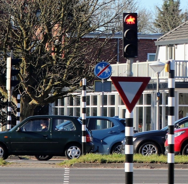 “This equestrian crossing near Wassenaar, Netherlands, has a button at horse rider’s height.”