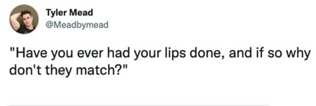 Funny Insults - Have you ever had your lips done, and if so why don't they match?
