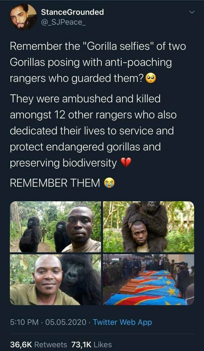 Heartless Photos - Remember the Gorilla selifes?