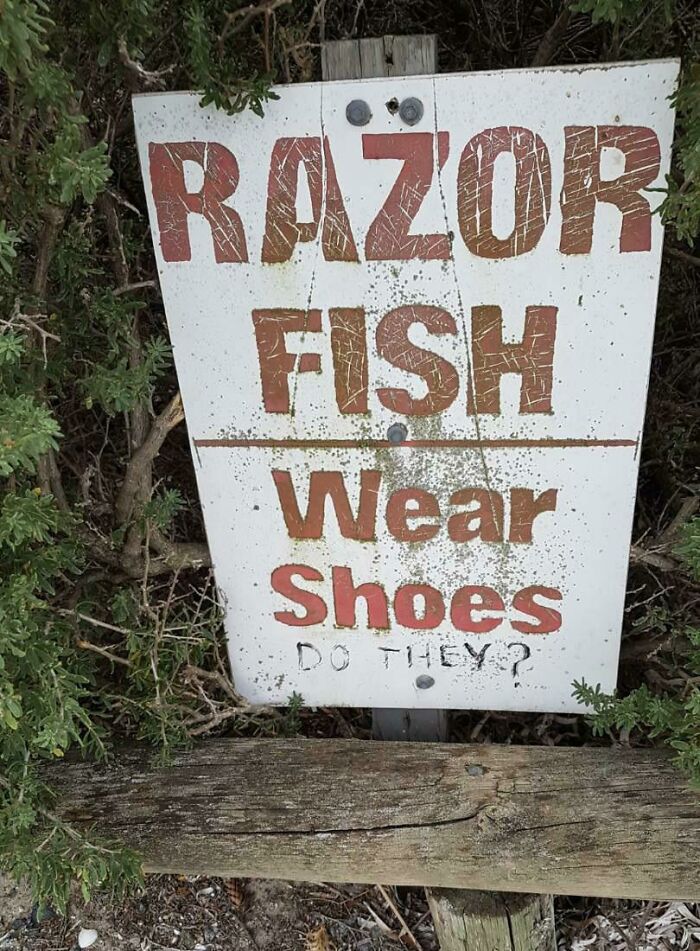 Mild Vandalism - Razor Fish Wear Shoes Do They